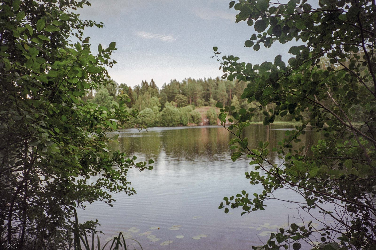 Озеро Лещёвое - Речной круиз Москва - Санкт-Петербург - Москва
