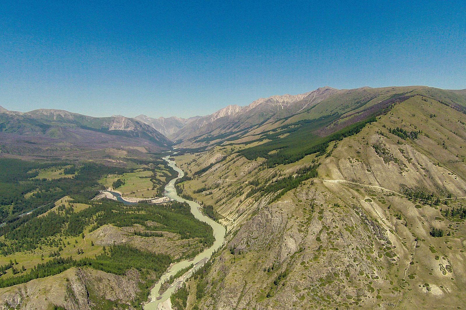 Долина реки Аргут - Алтай (лето)