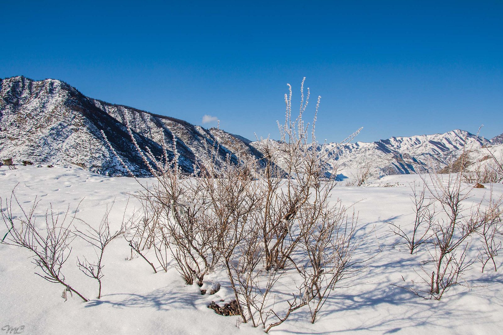 Зимние горы - Алтай (зима)