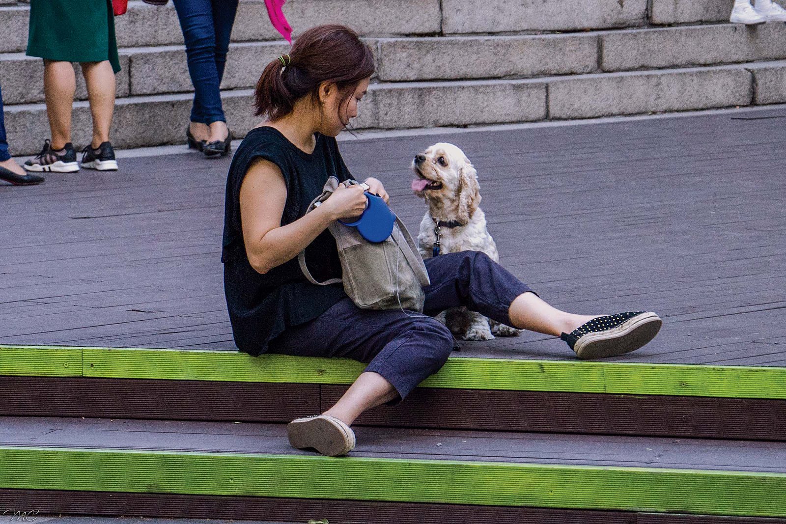 Дама с собакой - Южная Корея