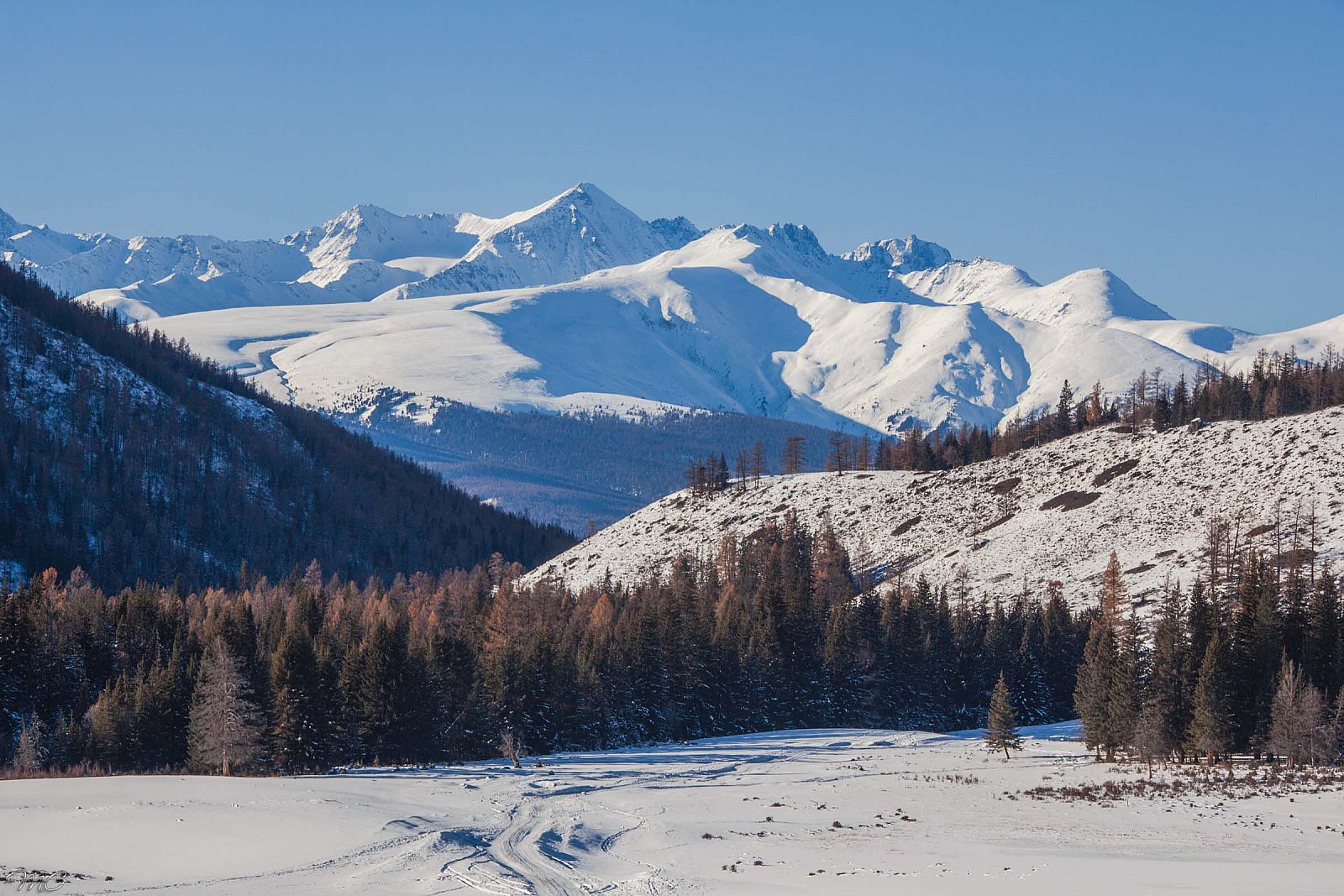 Катунский горный массив - Алтай (зима)