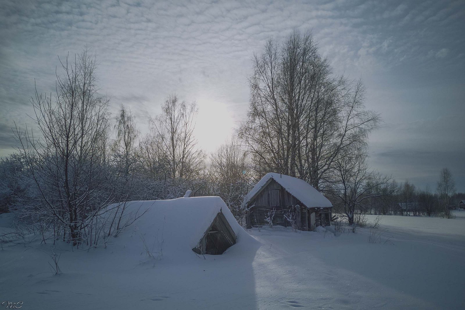 Зимний день - Костромская область